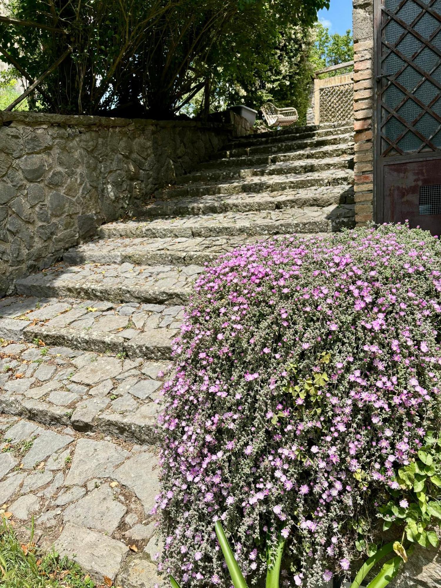 Collina Blu Bed & Breakfast Bolsena Exterior photo