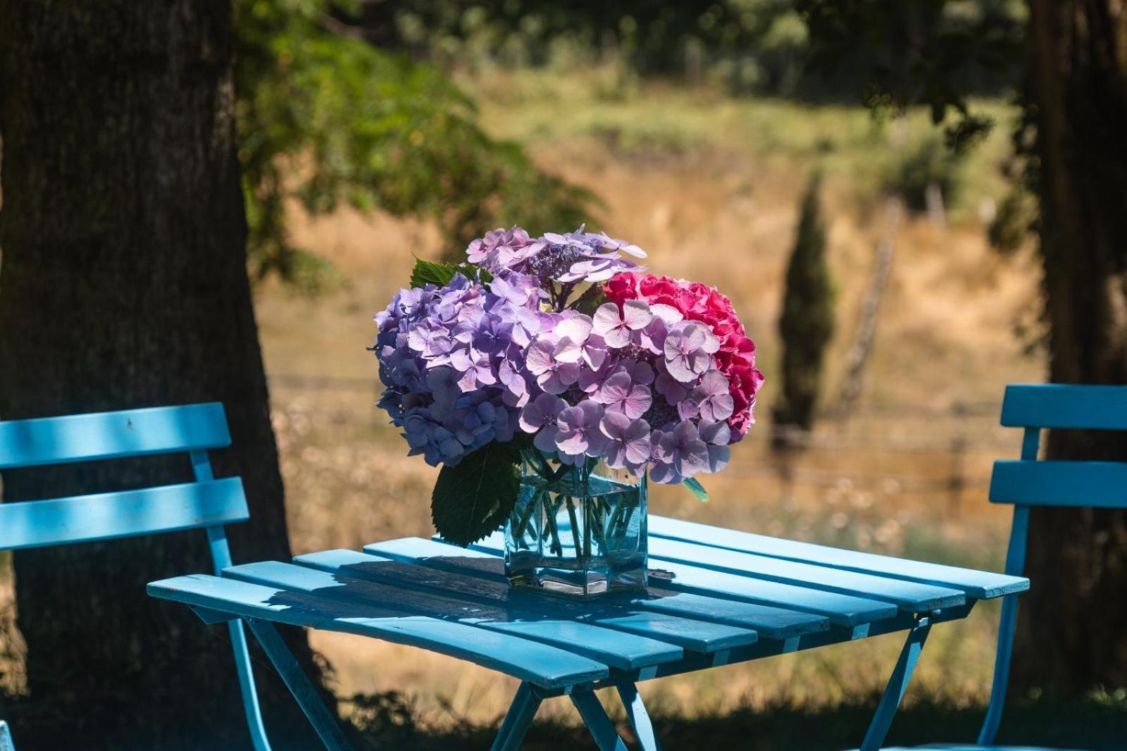Collina Blu Bed & Breakfast Bolsena Exterior photo